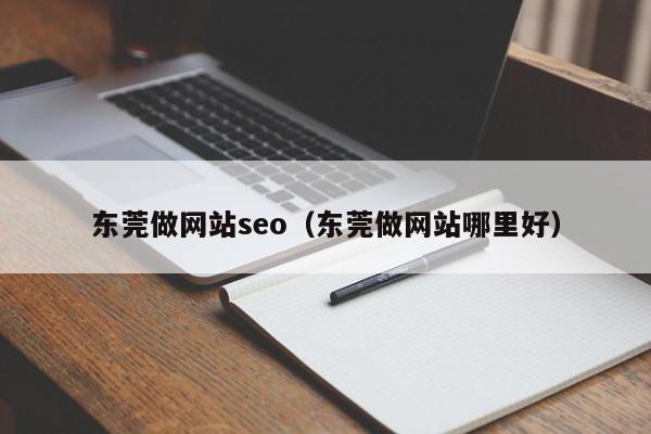 东莞做网站seo（东莞做网站哪里好）