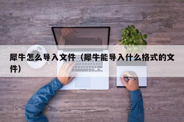 犀牛怎么导入文件（犀牛能导入什么格式的文件）