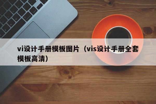 vi设计手册模板图片（vis设计手册全套模板高清）