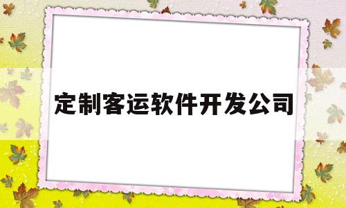 定制客运软件开发公司的简单介绍