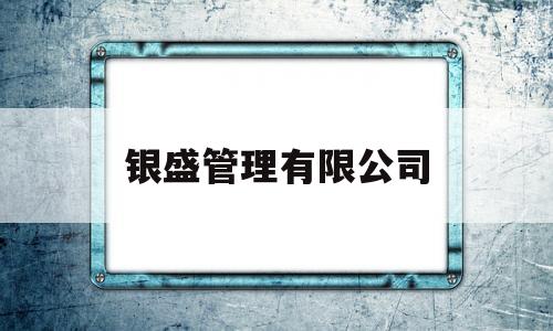 银盛管理有限公司(银盛管理有限公司是国企吗)