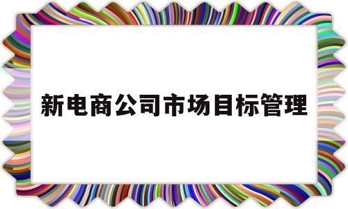 新电商公司市场目标管理(电商公司的规划和战略版本)