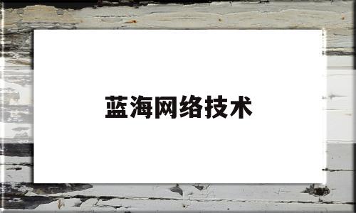 蓝海网络技术(南京蓝海网络技术有限公司)