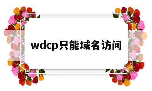 wdcp只能域名访问(域名能访问但ping不通)