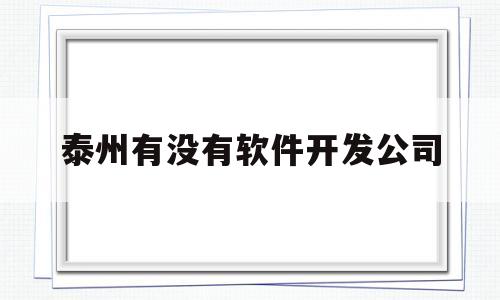 泰州有没有软件开发公司(泰州有没有软件开发公司招聘)