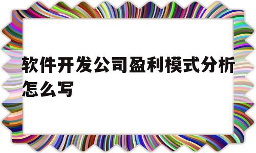 软件开发公司盈利模式分析怎么写(软件开发公司盈利模式分析怎么写好)