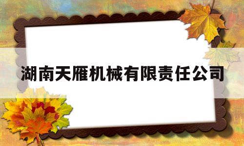 湖南天雁机械有限责任公司(湖南天雁机械有限责任公司人力资源部长)