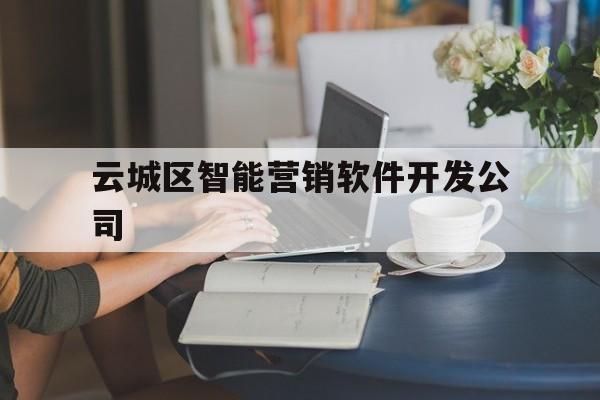 云城区智能营销软件开发公司的简单介绍