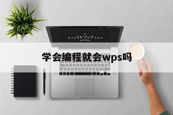 学会编程就会wps吗(学会编程就会wps吗知乎)