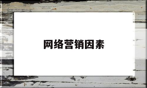 网络营销因素(网络营销的因素)