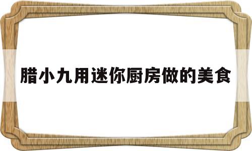 腊小九用迷你厨房做的美食的简单介绍