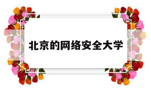 北京的网络安全大学(北京网络安全公司有哪些)