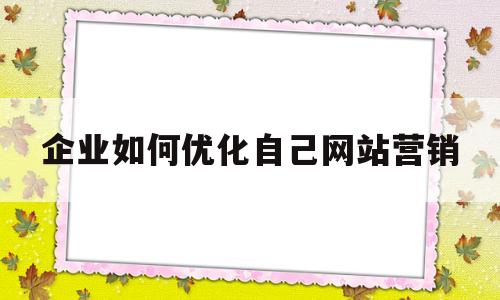 企业如何优化自己网站营销(一个企业该如何进行网络营销)