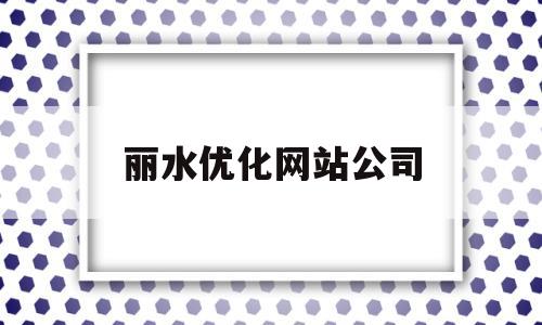 丽水优化网站公司(丽水优化网站公司有哪些)