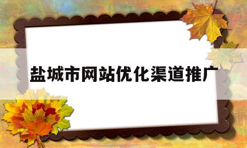 盐城市网站优化渠道推广(盐城市网站优化渠道推广工作)