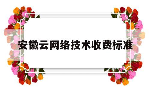 安徽云网络技术收费标准(安徽如履云网络技术有限公司)