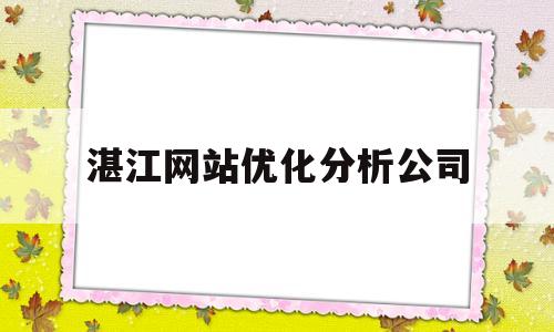 湛江网站优化分析公司(湛江网站优化分析公司有哪些)