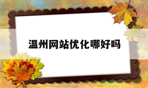 温州网站优化哪好吗(温州网站建设解决方案)