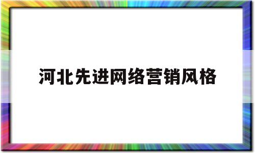 河北先进网络营销风格的简单介绍