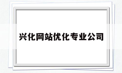 兴化网站优化专业公司的简单介绍