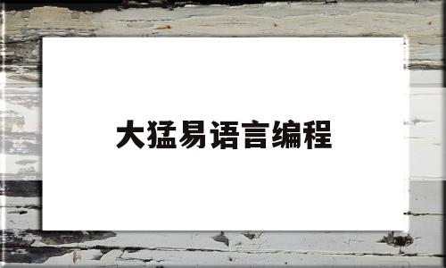 大猛易语言编程(手机易语言编程软件)