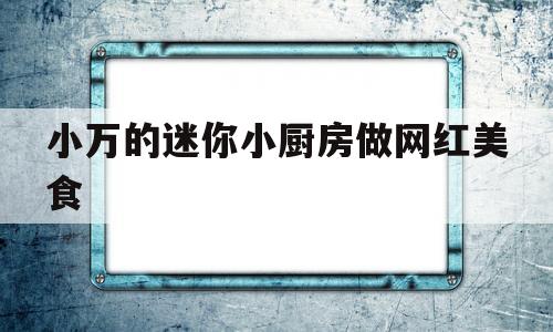 小万的迷你小厨房做网红美食(小万的迷你小厨房做网红美食怎么样)