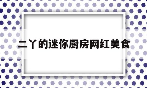 关于二丫的迷你厨房网红美食的信息