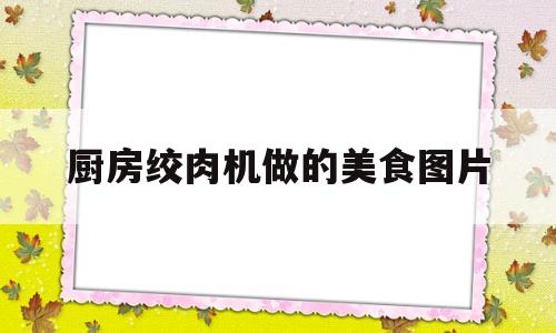 厨房绞肉机做的美食图片(厨房绞肉机做的美食图片真实)