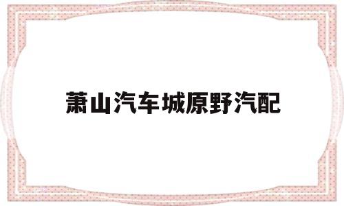 萧山汽车城原野汽配(萧山汽车城原野汽配店)