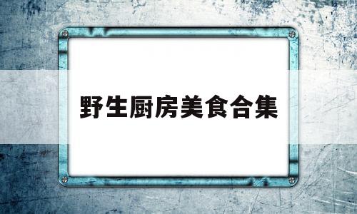 野生厨房美食合集(野生厨房美食合集在线观看)