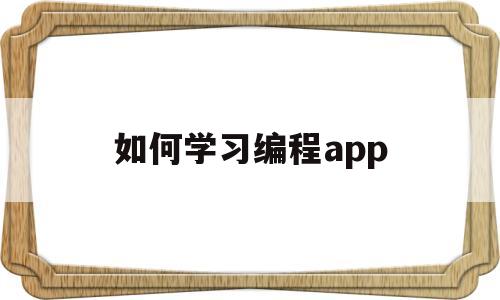 如何学习编程app(编程入门自学app)