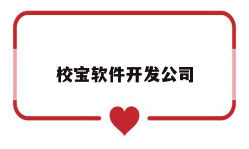 校宝软件开发公司(校宝软件开发公司招聘)