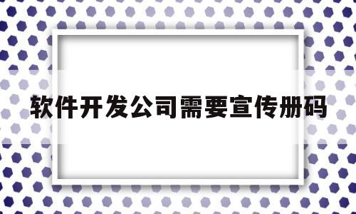 软件开发公司需要宣传册码(开发软件需要资质吗)