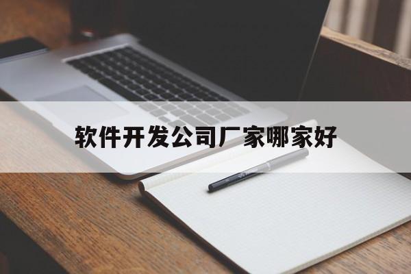 软件开发公司厂家哪家好(软件开发公司厂家哪家好一点)