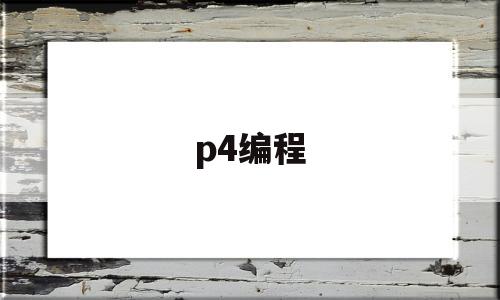 p4编程(P4编程语言 书籍)