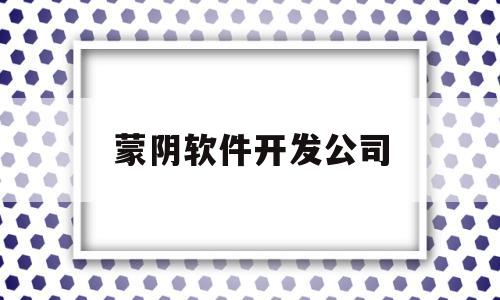 蒙阴软件开发公司(软件开发公司可靠么)