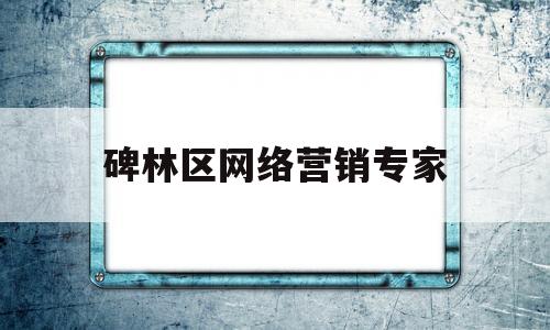 碑林区网络营销专家(西安网络营销推广培训)