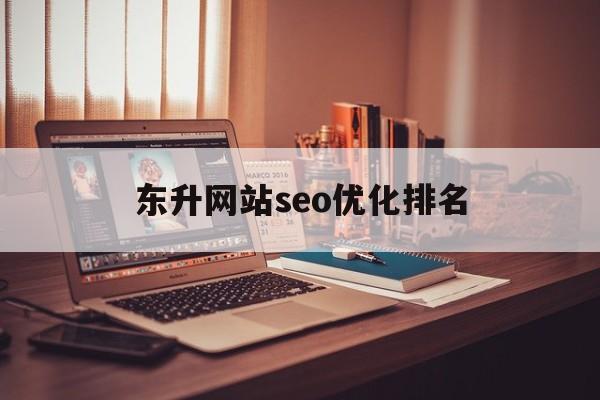 东升网站seo优化排名(东升信息技术有限公司)