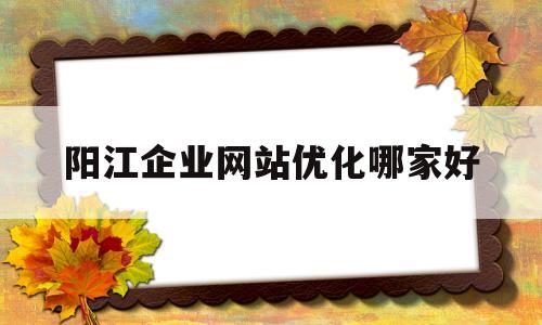 关于阳江企业网站优化哪家好的信息