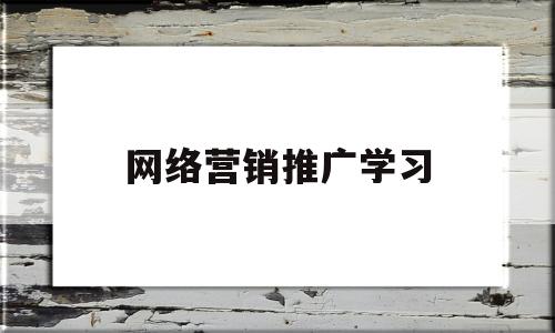 网络营销推广学习(网络营销推广方案撰写心得)