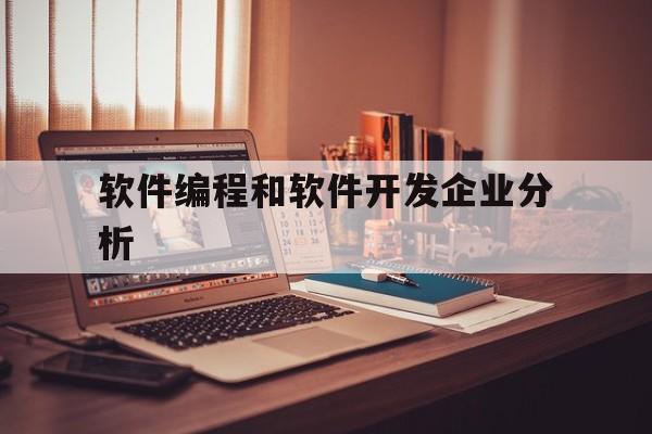 软件编程和软件开发企业分析(软件开发与编写程序之间的区别)