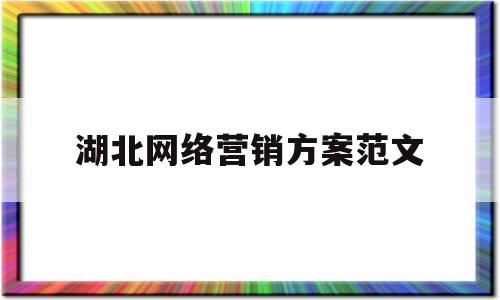 湖北网络营销方案范文(网络营销方案3000字)