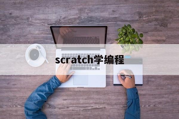 scratch学编程(scratch编程学了有用吗)