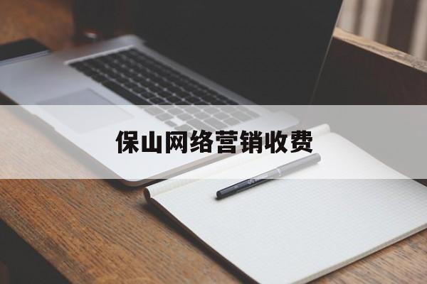 保山网络营销收费(保山网络营销收费情况)