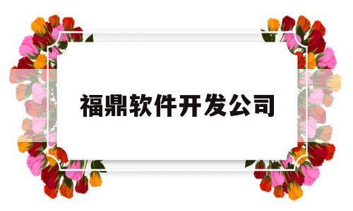 福鼎软件开发公司(福鼎软件开发公司排名)