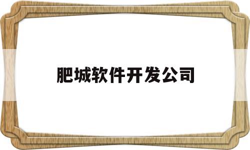 肥城软件开发公司(肥城企业招聘信息网)