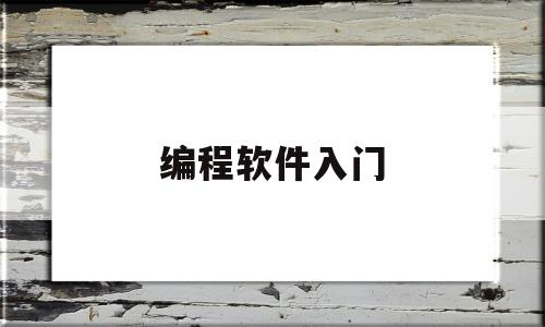 编程软件入门(编程软件入门先学什么)