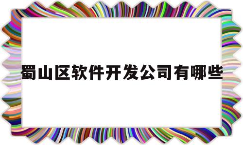 蜀山区软件开发公司有哪些(合肥软件开发工资待遇怎么样)