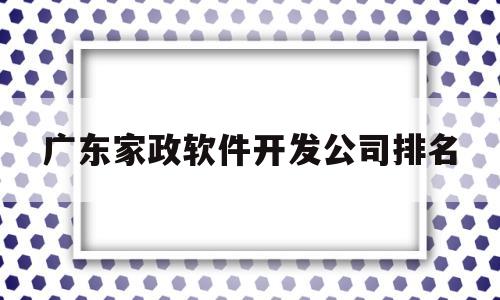 广东家政软件开发公司排名(广东家政软件开发公司排名榜)