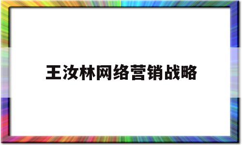 王汝林网络营销战略(网络营销王玮案例答案)